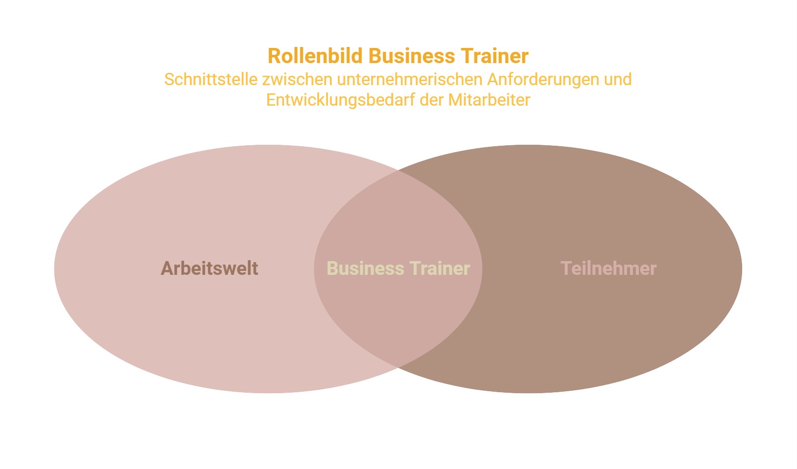 Rollenbild Business Trainer