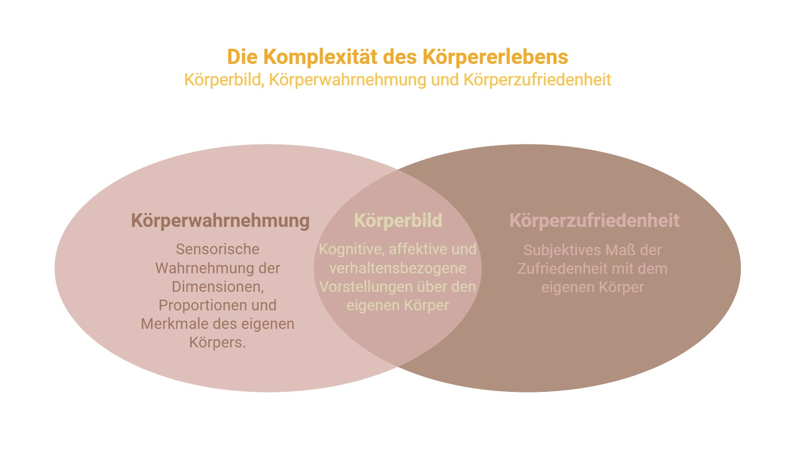 Körperwahrnehmung, Körperbild und Körperzufriedenheit von Dr. Laura Fazio