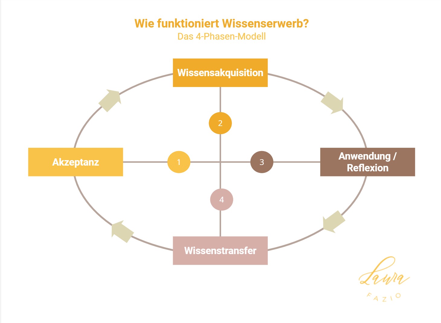 4 Phasen Modell des Wissenserwerbs